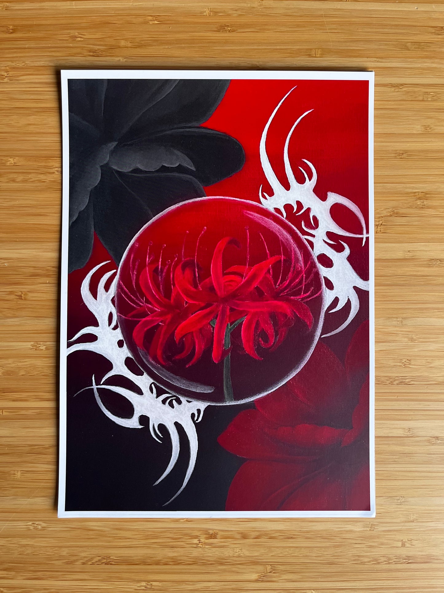 Red spider Lily