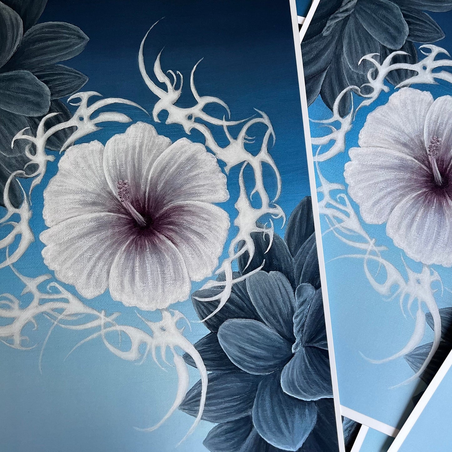 Hibiscus